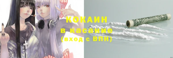 прущие грибы Кукмор