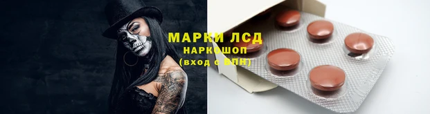 дмт Валдай