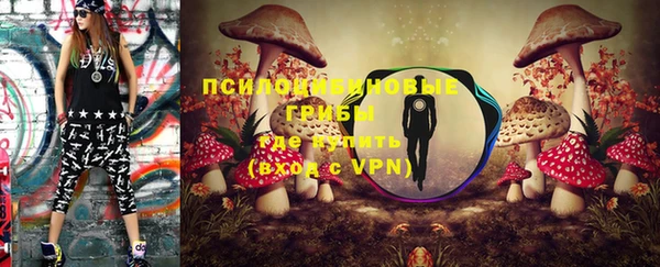 прущие грибы Кукмор