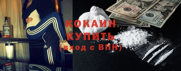 прущие грибы Кукмор