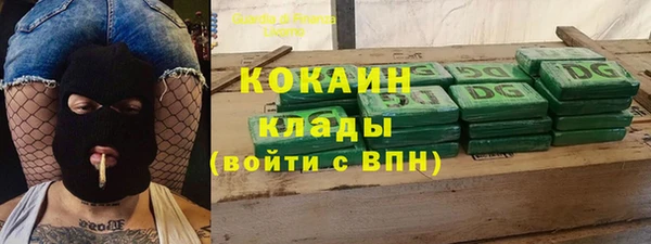 прущие грибы Кукмор